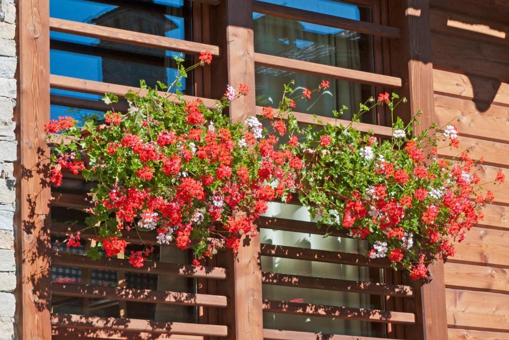 Pietre Gemelle Resort Alagna Valsesia Exteriér fotografie